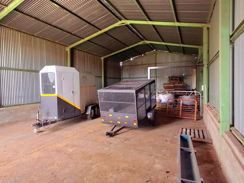 Prime 2.2 ha Smallholding – 3-Phase Electricity & Great Improvement Potential - Photo 3