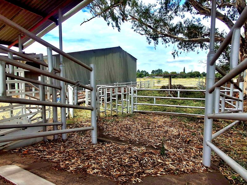 Prime 2.2 ha Smallholding – 3-Phase Electricity & Great Improvement Potential - Photo 4