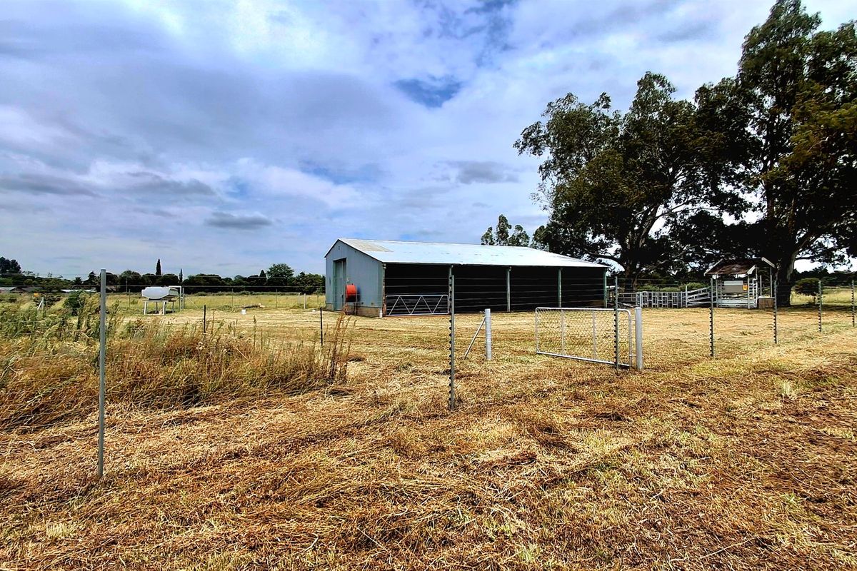 Prime 2.2 ha Smallholding – 3-Phase Electricity & Great Improvement Potential - Photo 5