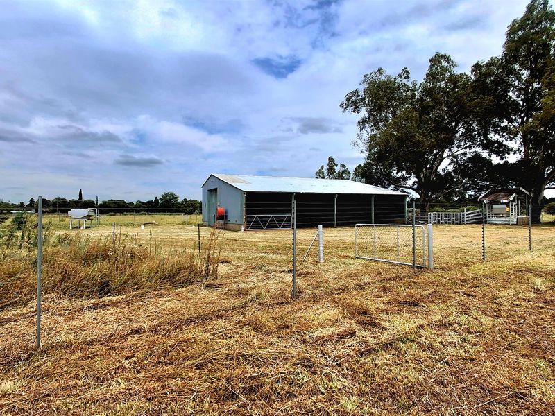Prime 2.2 ha Smallholding – 3-Phase Electricity & Great Improvement Potential - Photo 5
