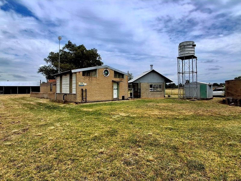 Prime 2.2 ha Smallholding – 3-Phase Electricity & Great Improvement Potential - Photo 8