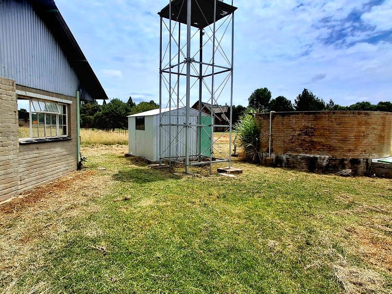 Prime 2.2 ha Smallholding – 3-Phase Electricity & Great Improvement Potential - Photo 9