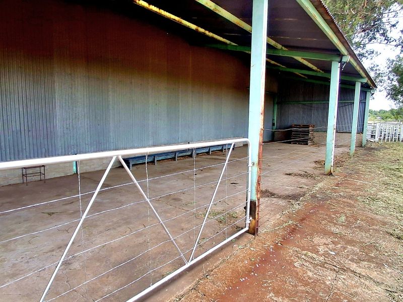 Prime 2.2 ha Smallholding – 3-Phase Electricity & Great Improvement Potential - Photo 7