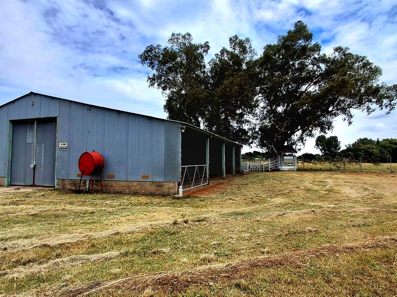 Prime 2.2 ha Smallholding – 3-Phase Electricity & Great Improvement Potential - Photo 6