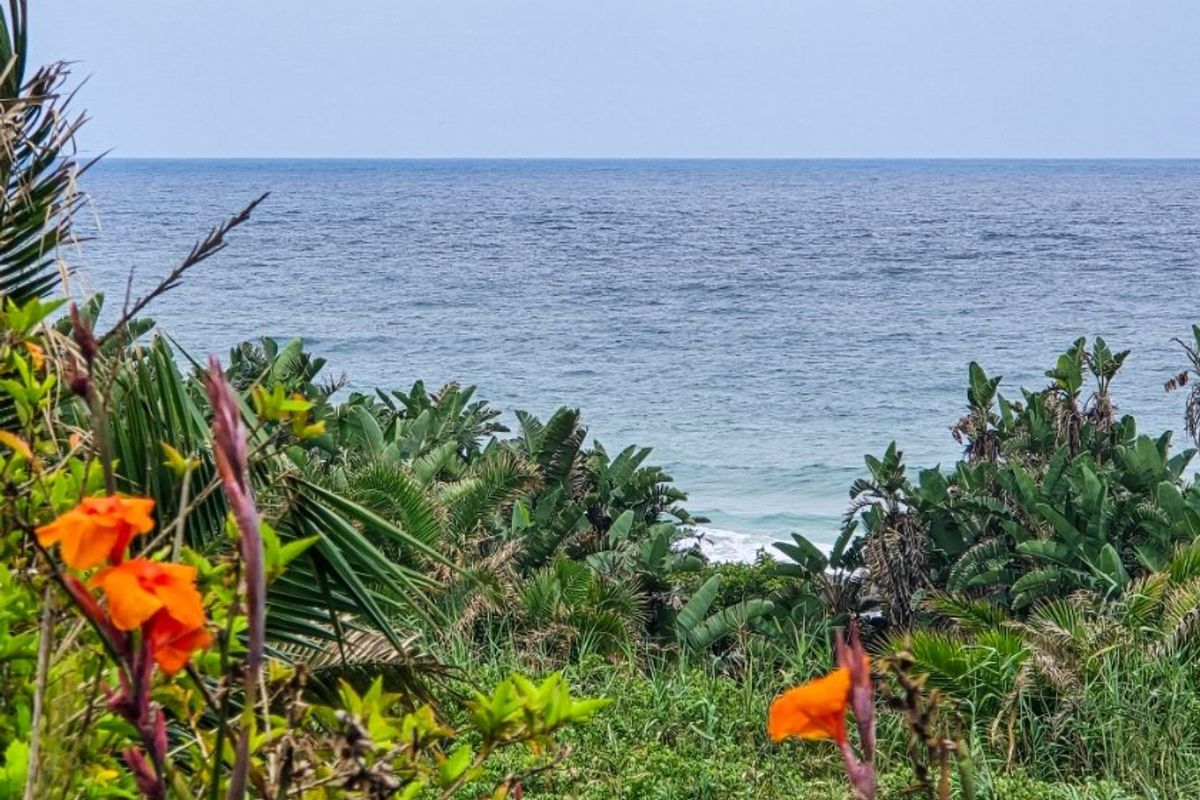 4-Bedroom Beachfront Prime Holiday - Rental Appeal !! - Photo 3