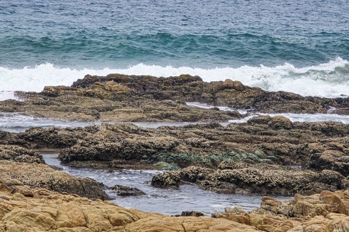 4-Bedroom Beachfront Prime Holiday - Rental Appeal !! - Photo 2