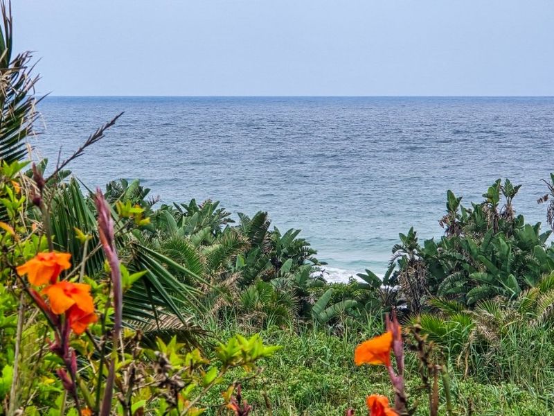 A scenic view of the ocean framed by lush coastal vegetation and vibrant orange flowers.
