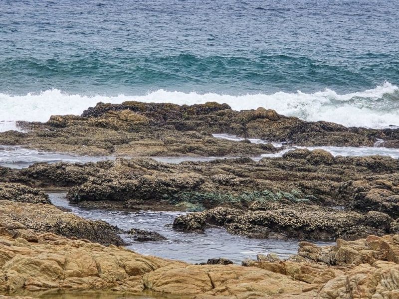 A scenic view of rocky coastal terrain meeting the ocean waves.