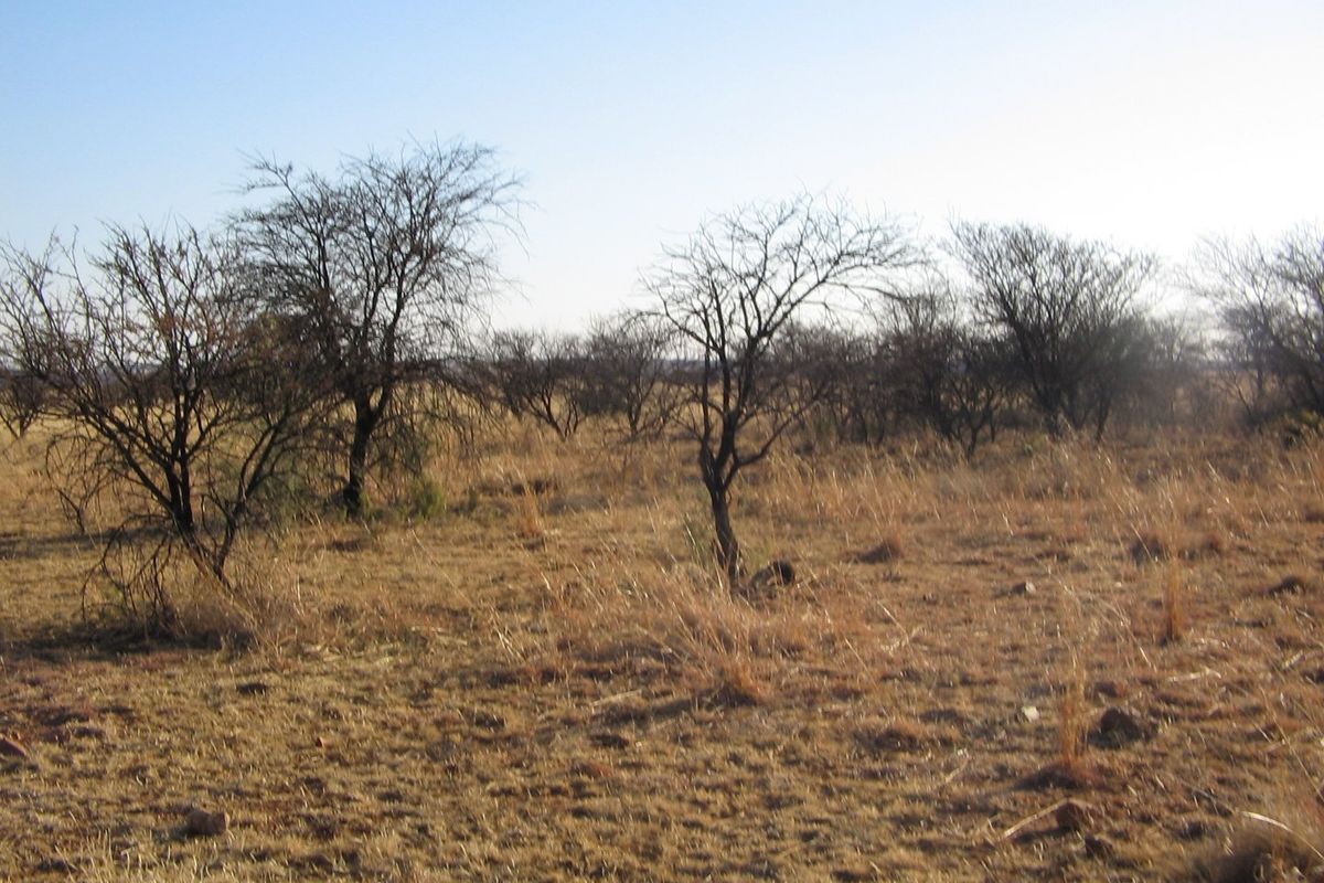 Vacand Land in Vanderbijlpark - Photo 2