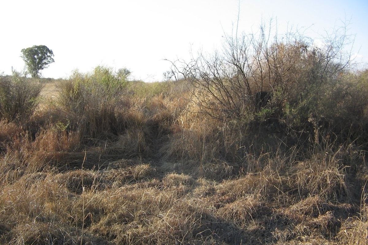 Vacand Land in Vanderbijlpark - Photo 3