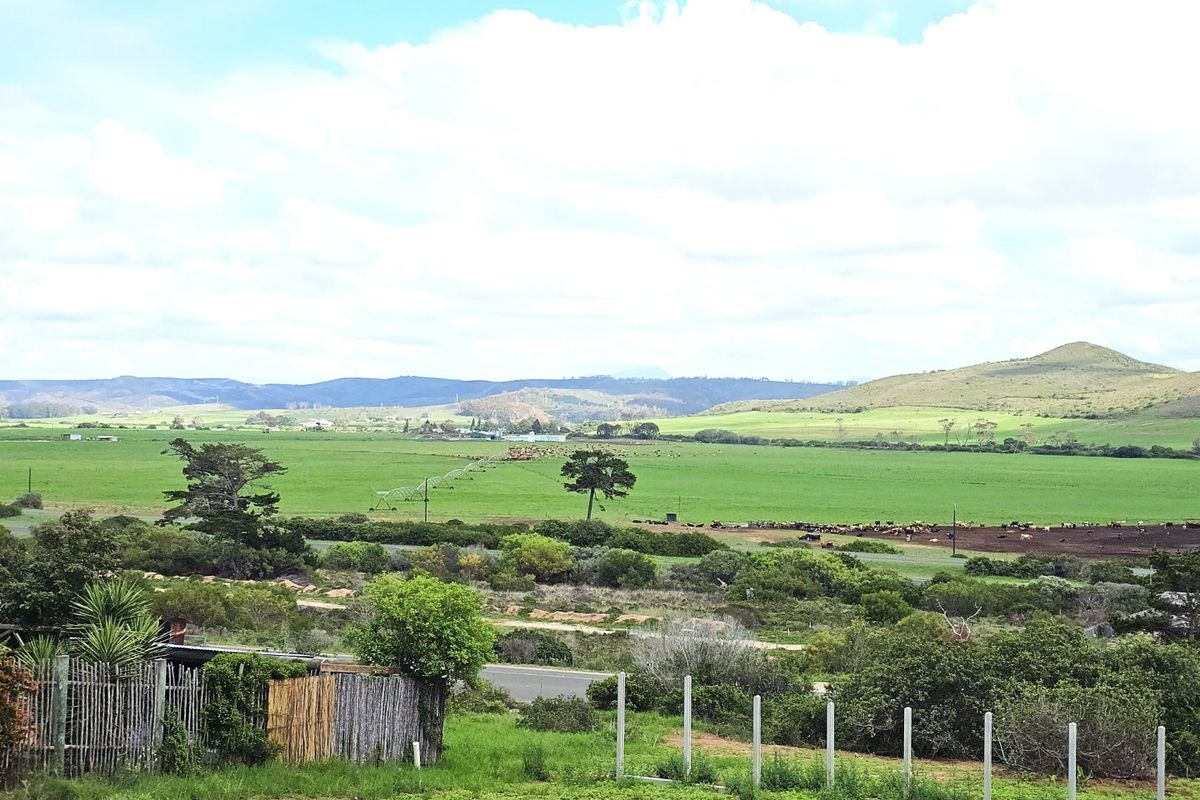 PRIME STAND - REEBOK - Photo 4