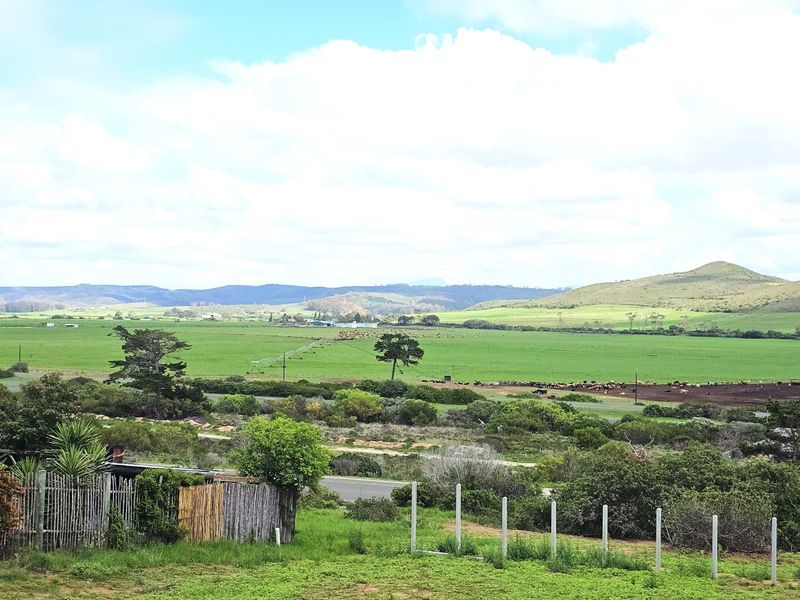 PRIME STAND - REEBOK - Photo 4