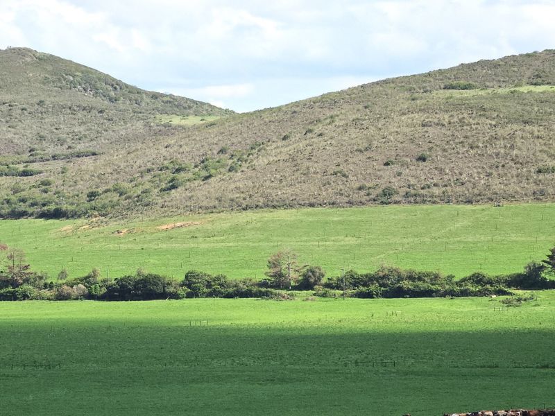 PRIME STAND - REEBOK - Photo 5