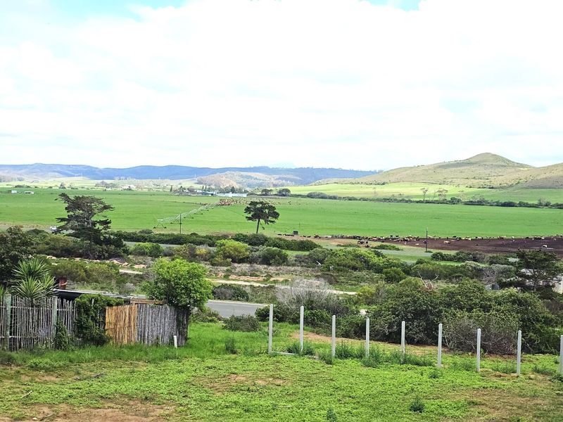 PRIME STAND - REEBOK - Photo 9