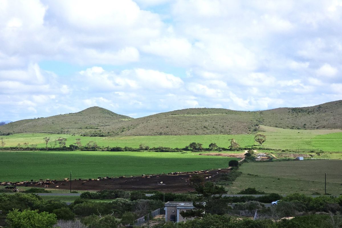 PRIME STAND - REEBOK - Photo 2