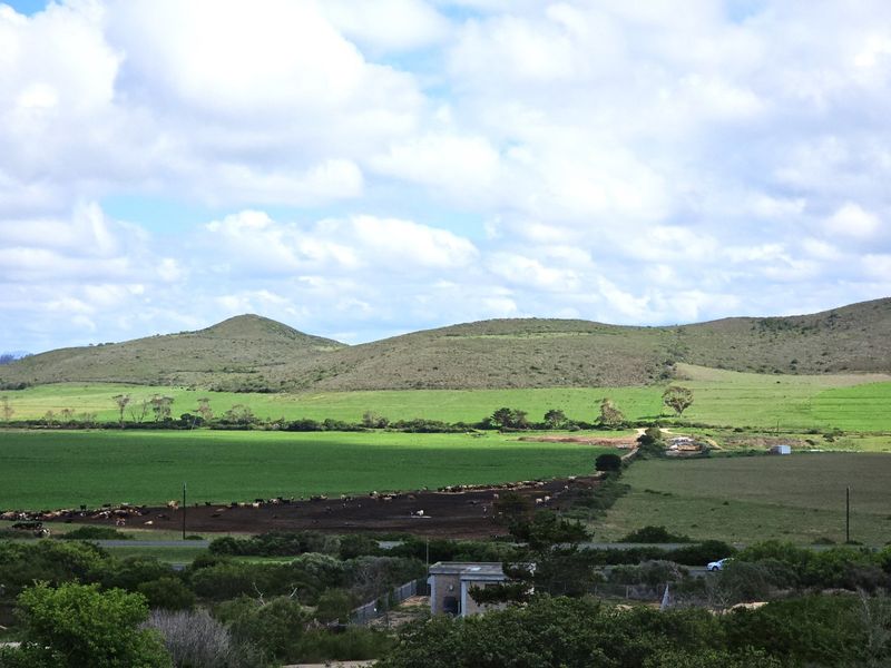 PRIME STAND - REEBOK - Photo 2