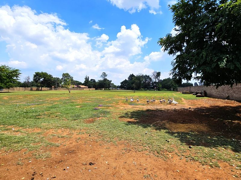 Exceptional 1.2 Hectare Plot in Unitas Park. - Photo 3