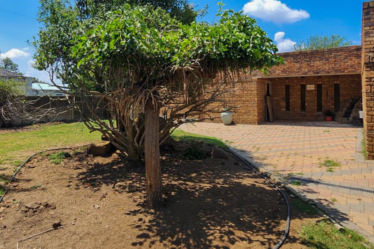 Modern 4-Bedroom Family Home Designed for Comfortable Living Standerton Central - Photo 4