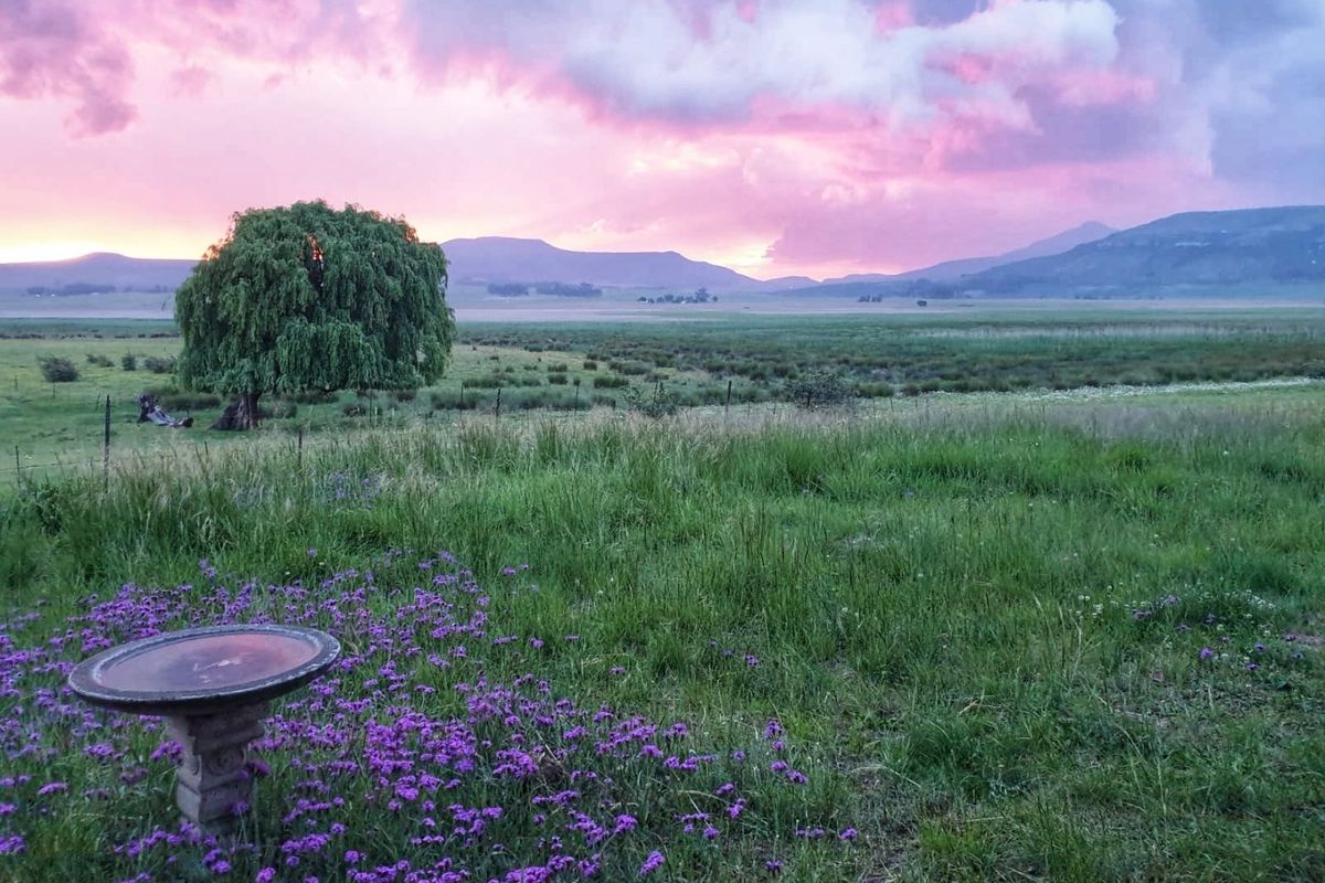 2 Bed House in Wakkerstroom for Sale - Photo 5