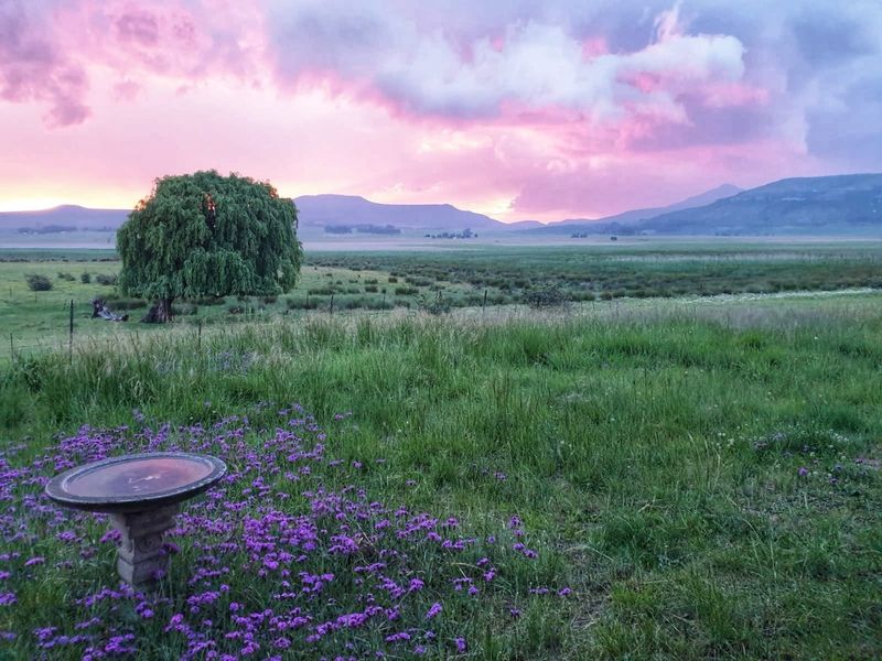 2 Bed House in Wakkerstroom for Sale - Photo 5