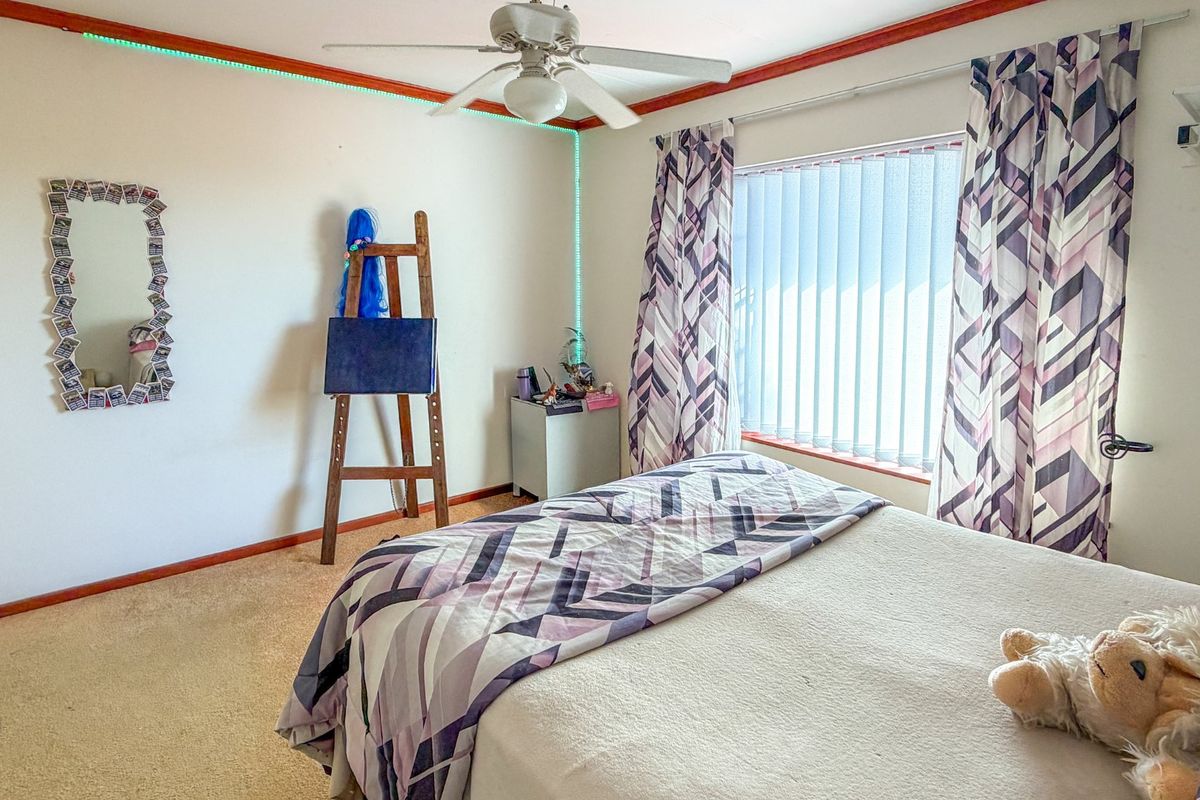 A standard bedroom featuring carpeted flooring, a ceiling fan, and vertical blinds covering the window.