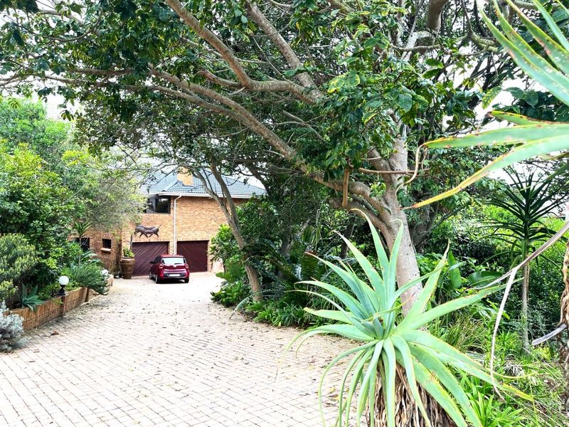 YOUR OWN PIECE OF PARADISE - Photo 4