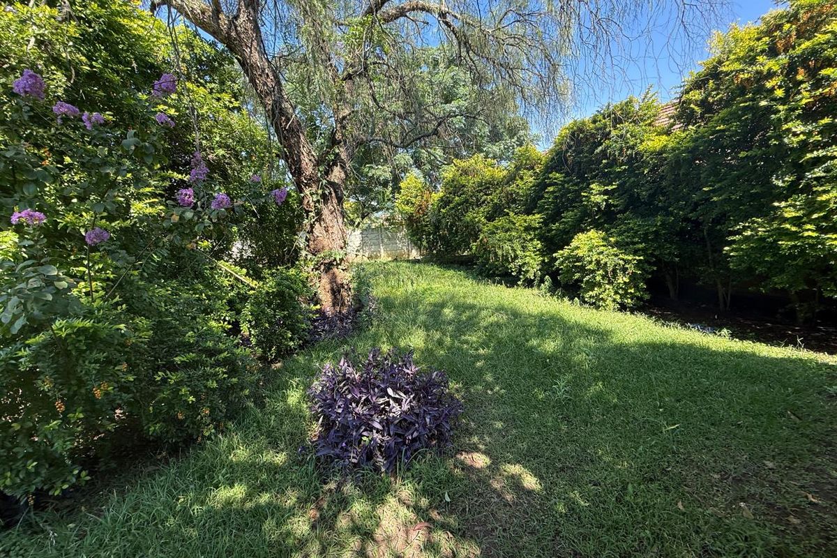 A Family Home with Space, Character and Opportunity – Woodhouse Road - Photo 3