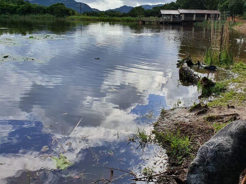 A scenic view of a tranquil lake with mountain vistas and a distant structure on the shoreline, showcasing the natural beauty of the farm.