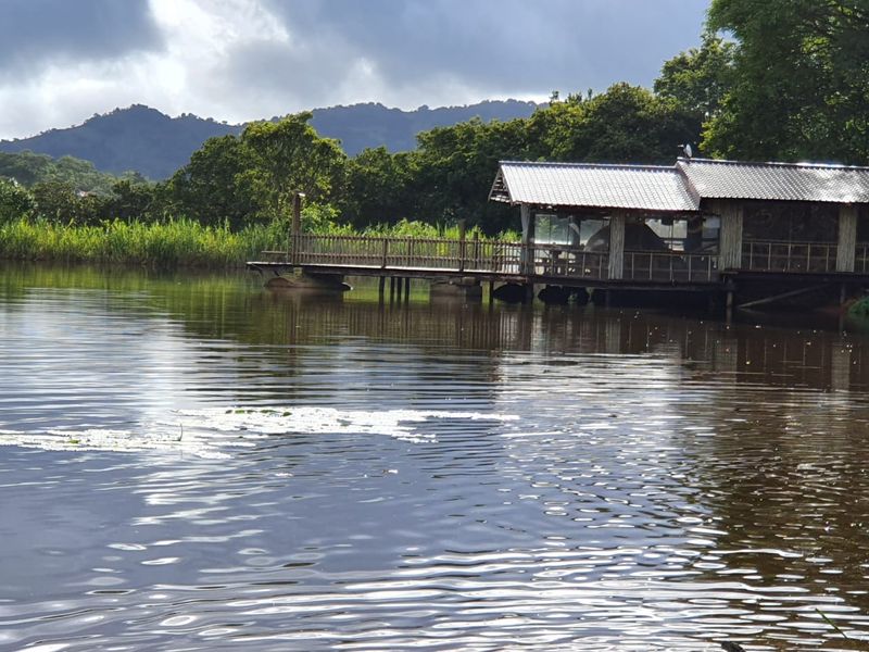 A scenic view of a lakefront structure featuring a timber deck and metal roof, set against a backdrop of lush trees and mountains.