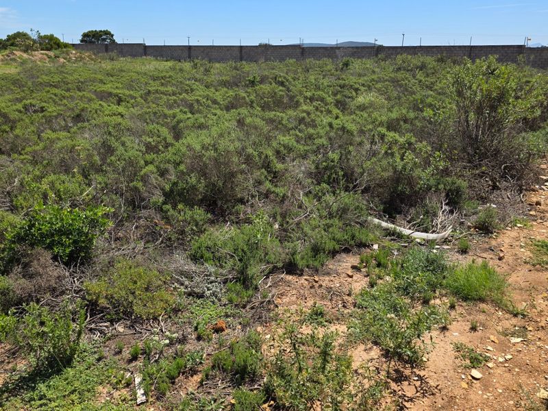 Industrial Stand For Sale... N2 Industrial Park... Mossel Bay. - Photo 10