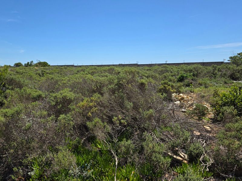 Industrial Stand For Sale... N2 Industrial Park... Mossel Bay. - Photo 8