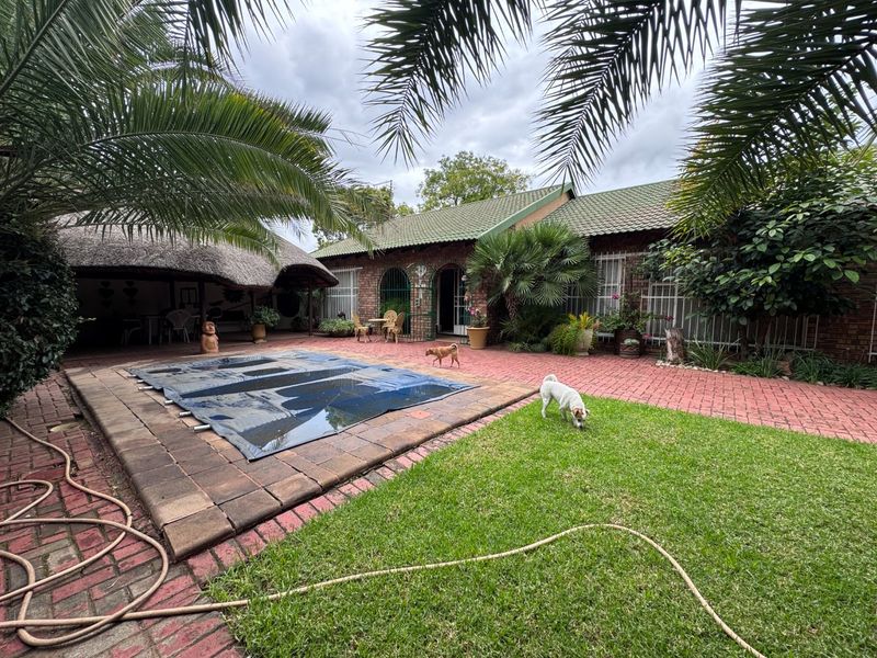 Rear garden area featuring a swimming pool with cover, brick paved patio, and a thatched lapa structure adjacent to the main house.
