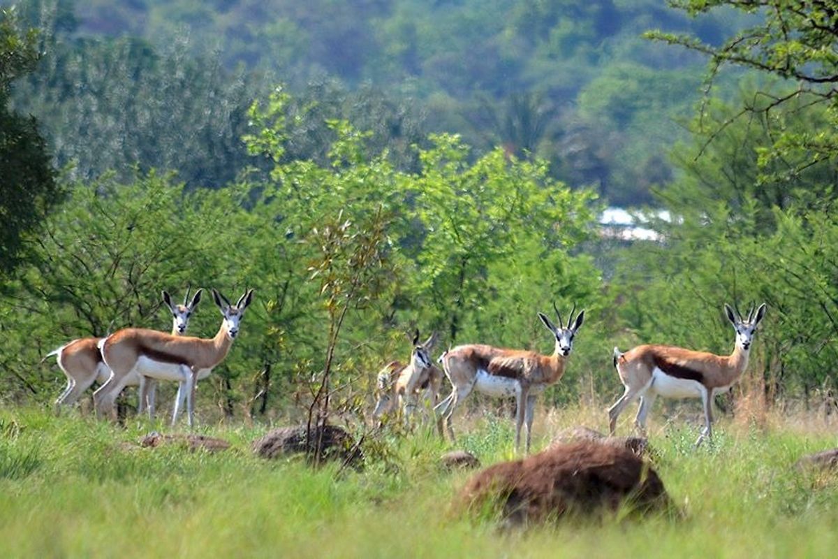 STAND 261 LA CAMARGUE - Photo 2