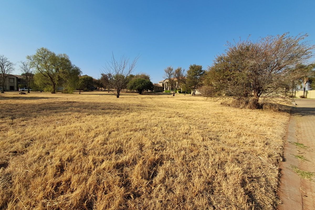 A wide-angle view of a vacant residential plot featuring dry grass, mature trees, and a paved verge bordering the property.