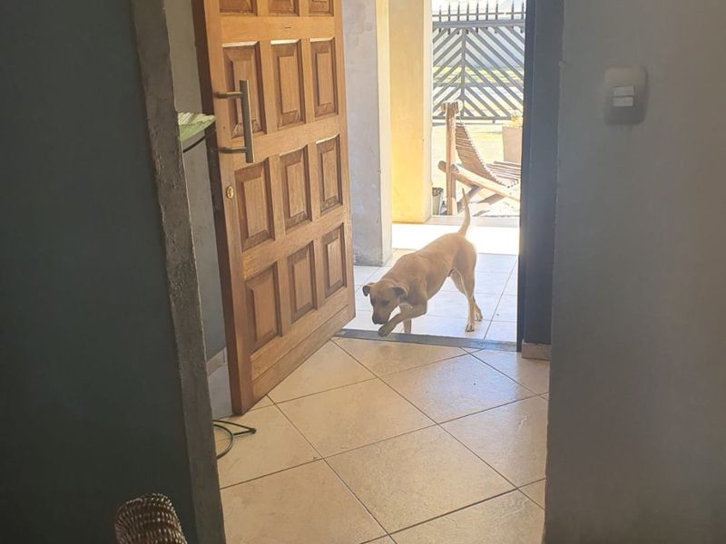 Charming corner home in the heart of Rynfield  - Photo 6