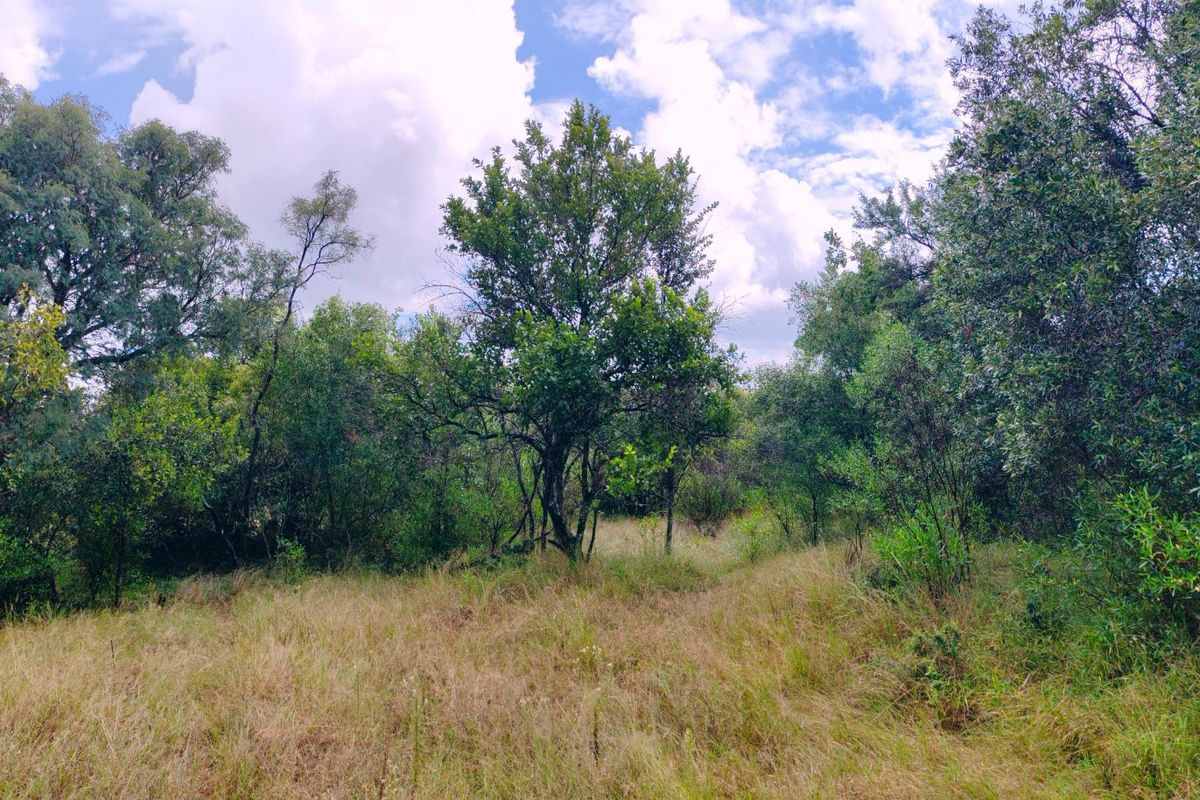 Vacant stand for sale in Koro Creek,Modimolle - Photo 5