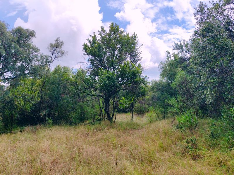 Vacant stand for sale in Koro Creek,Modimolle - Photo 5