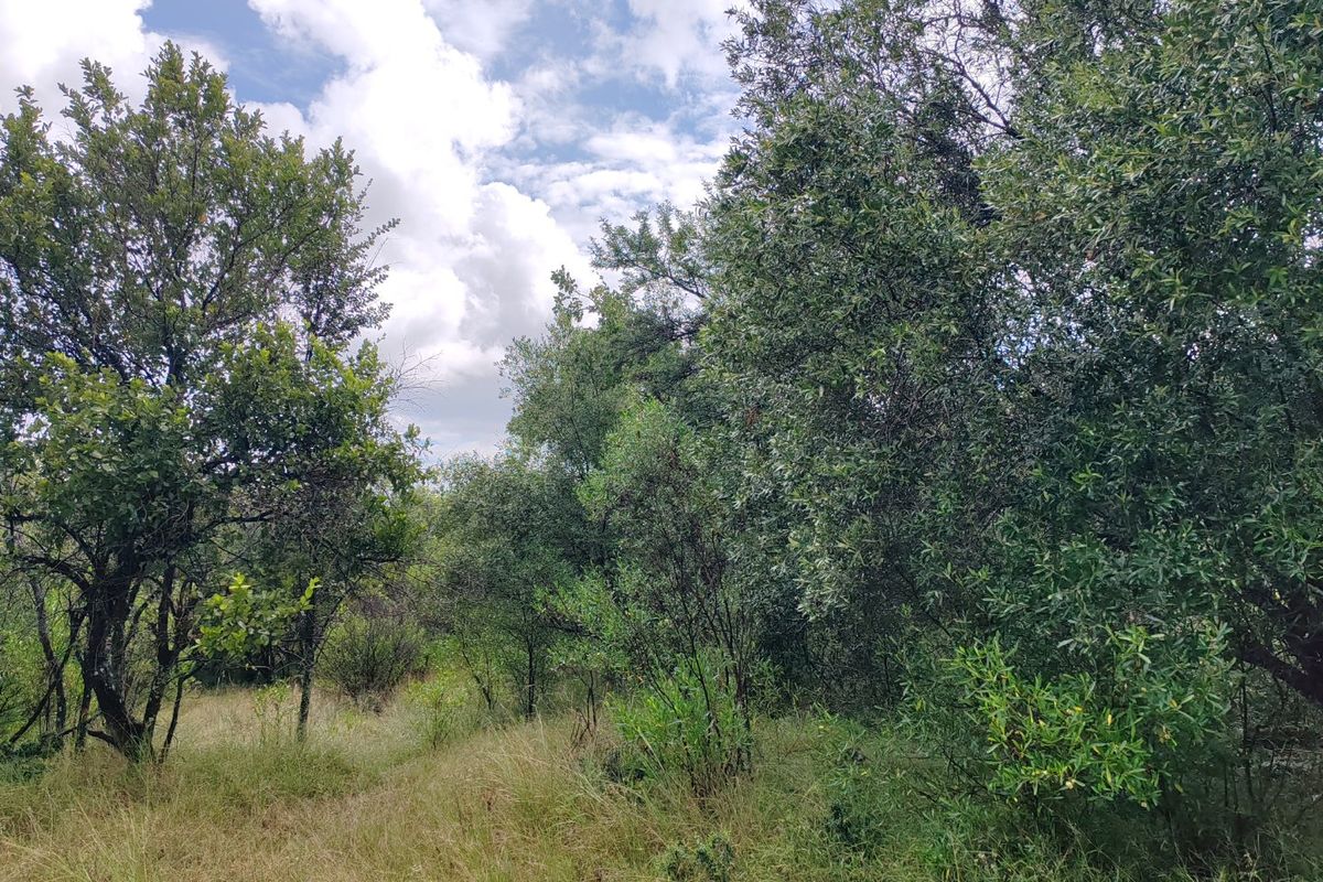 Vacant stand for sale in Koro Creek,Modimolle - Photo 4