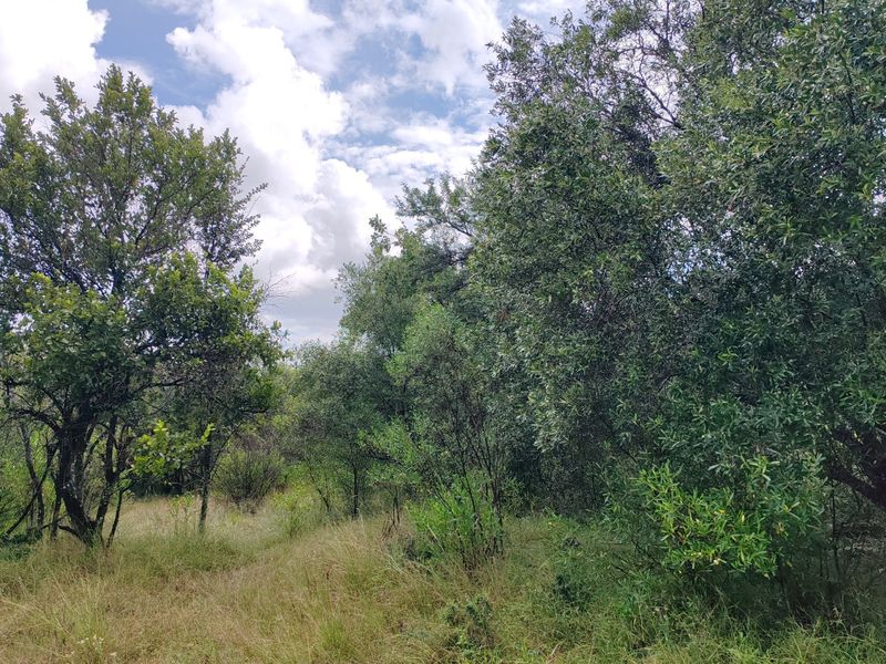 Vacant stand for sale in Koro Creek,Modimolle - Photo 4