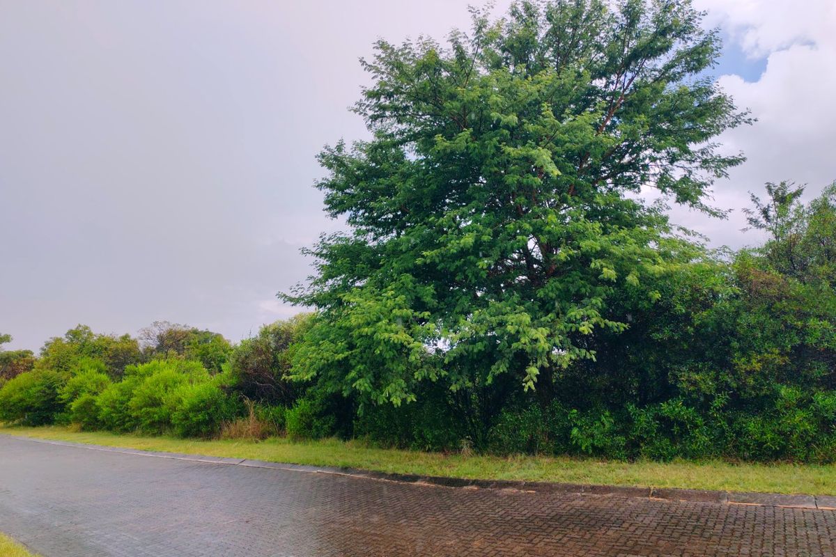 Vacant stand for sale in Koro Creek,Modimolle - Photo 3