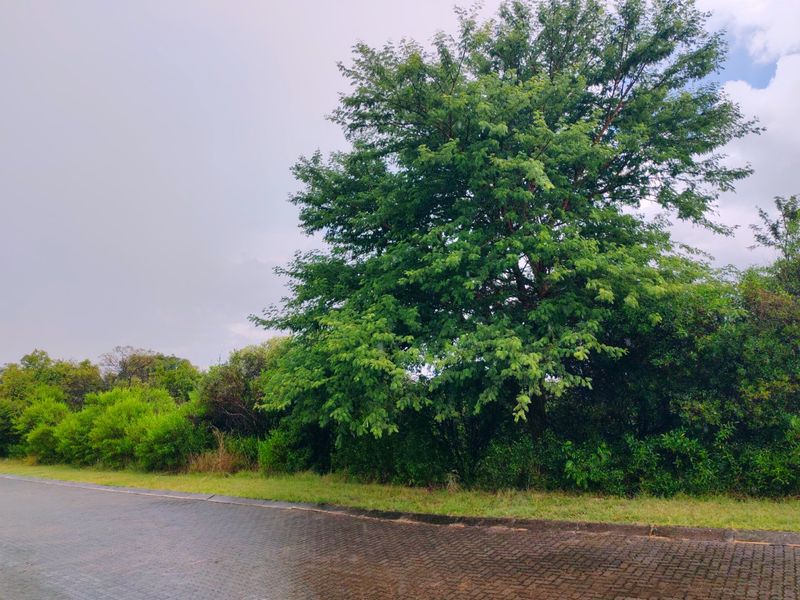 Vacant stand for sale in Koro Creek,Modimolle - Photo 3