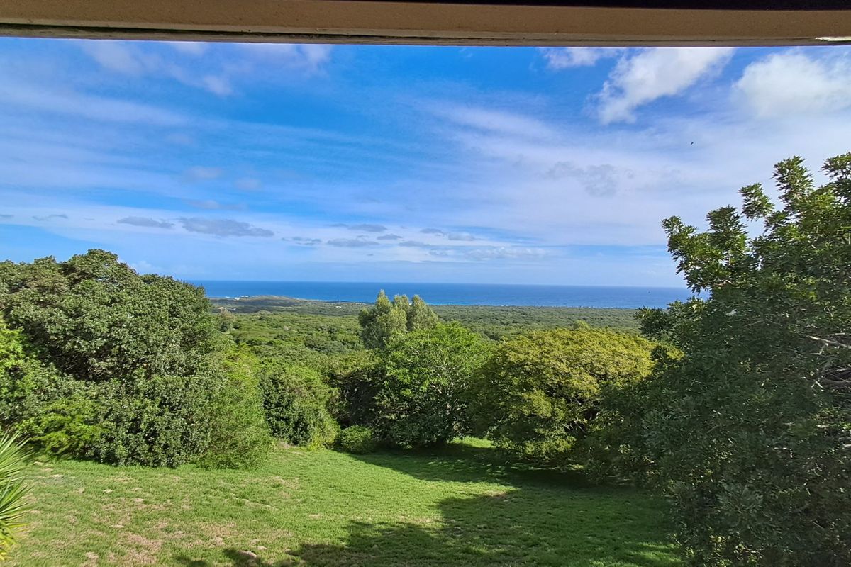 Coastal Smallholding with Ocean Views – 9.9ha on the Edge of Seaview - Photo 4