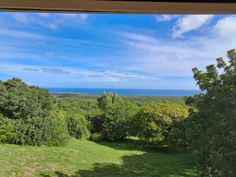 Coastal Smallholding with Ocean Views – 9.9ha on the Edge of Seaview - Photo 4