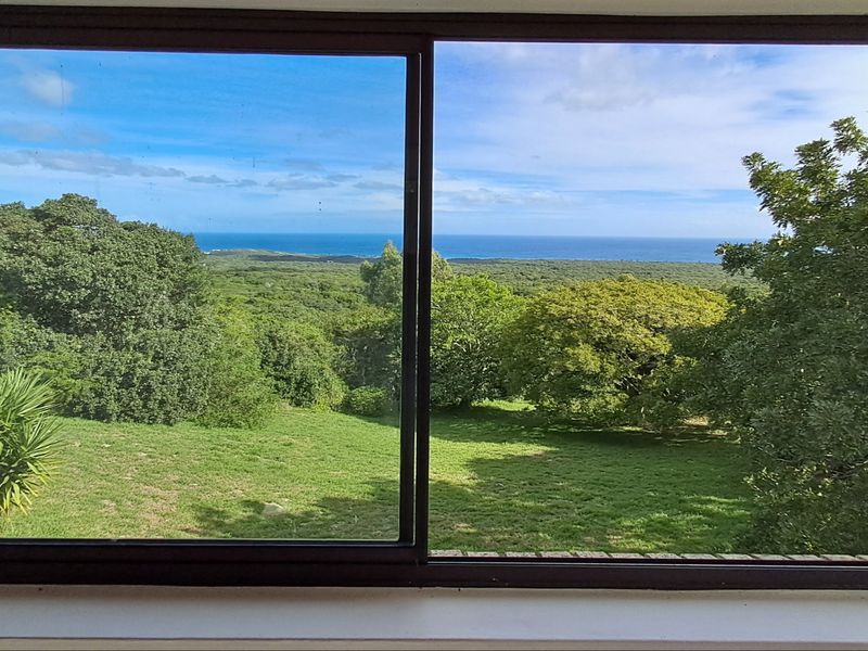A scenic view of the lush green landscape and distant ocean captured through a large sliding window.