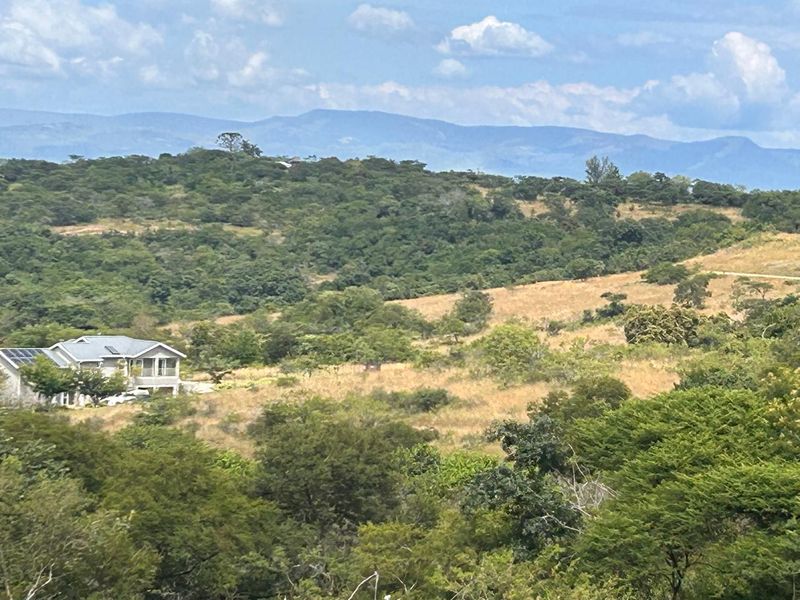 Large 13 758 m2 Stand Available in the Prestigious Wild Fig Country Estate - Photo 8