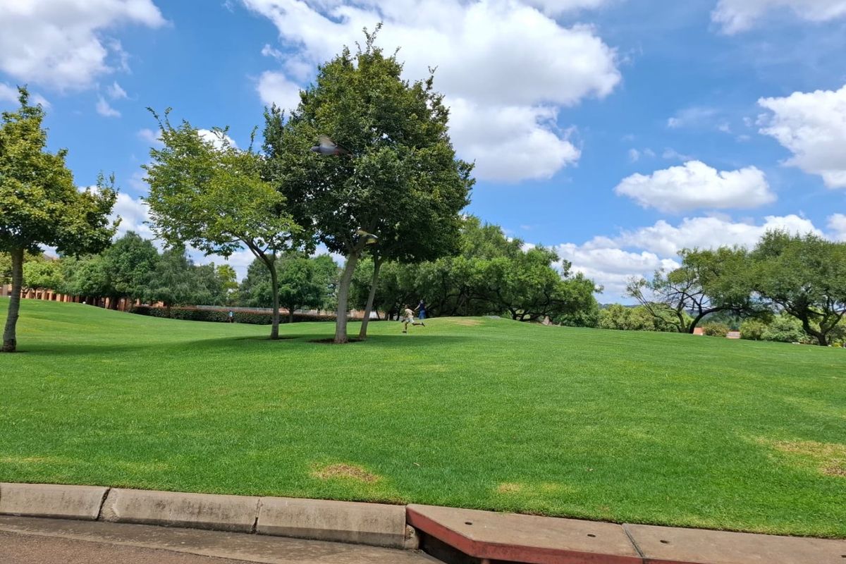 Langeberg 2 Bed Large Private Garden Ground - SIMPLEX - Photo 5