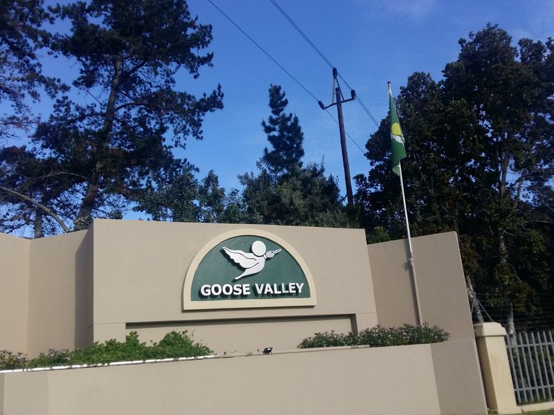 Ground Floor Apartment Goose Valley Golf Estate - Photo 4