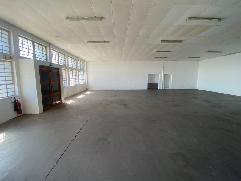 Spacious open-plan industrial warehouse area featuring concrete flooring, suspended ceiling tiles, and ample natural light through large steel-framed windows.