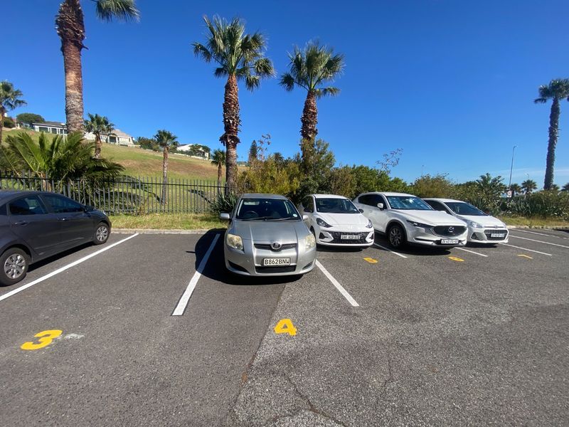 An outdoor paved parking area featuring marked bays, metal perimeter fencing, and established palm trees under a clear sky.