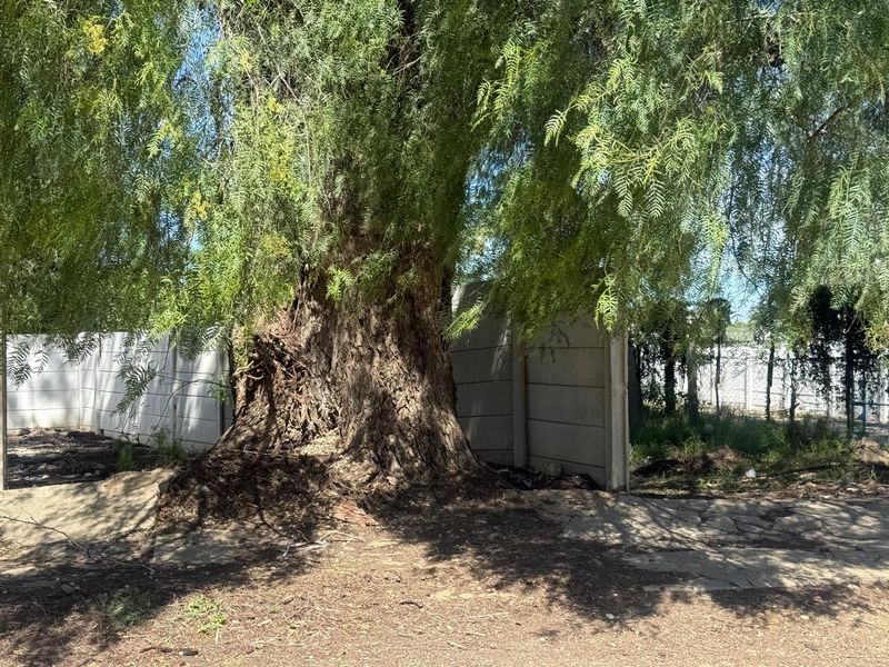 COMMERCIAL VACANT LAND IN CENTRAL UITENHAGE, EASTERN CAPE - Photo 9